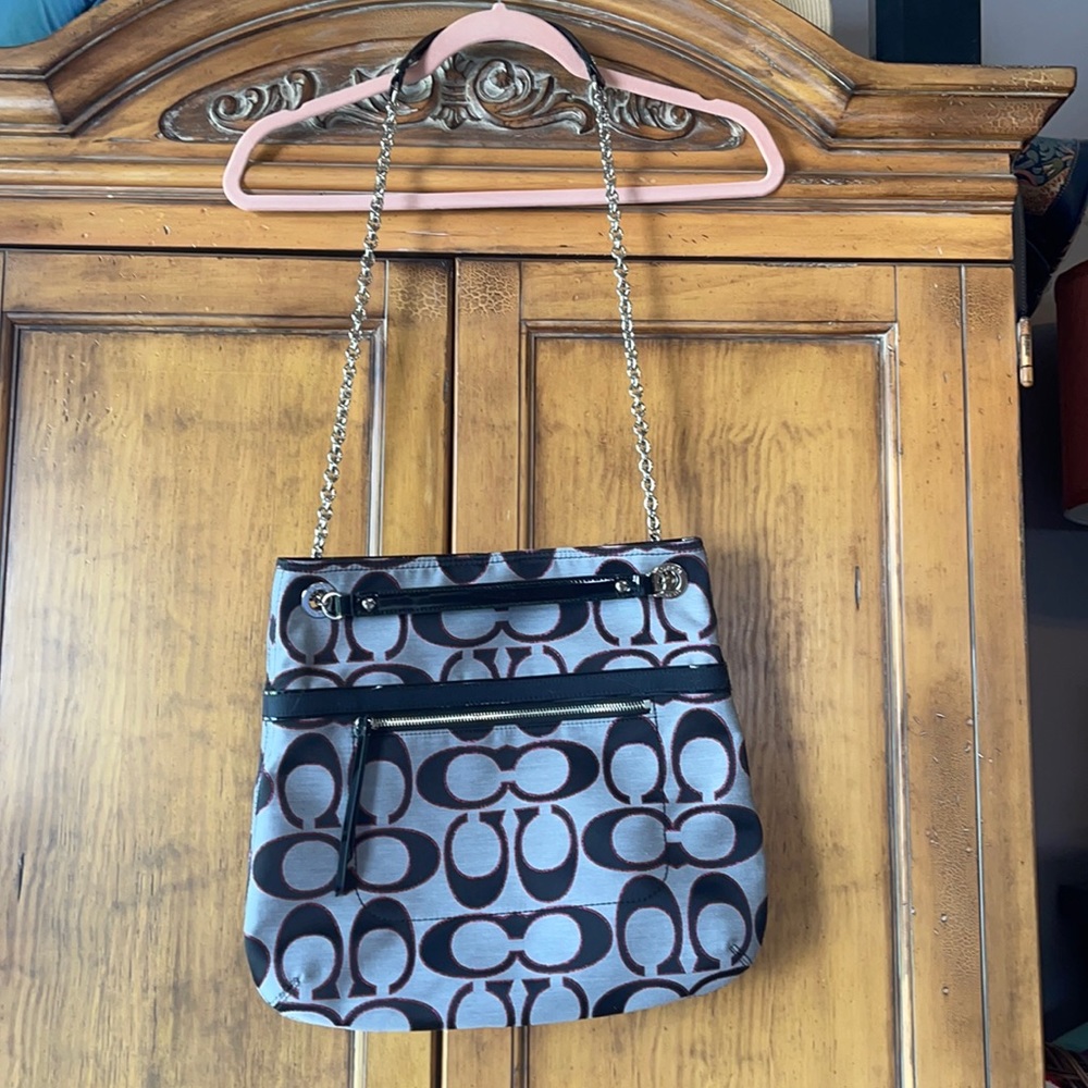 Coach Limited Edition Signature Canvas Hobo